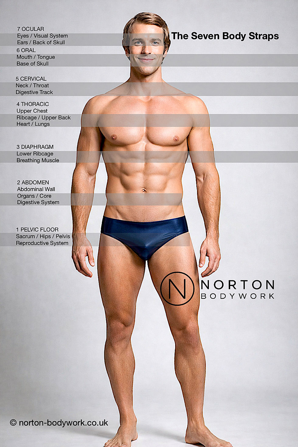 Hidden Tension: Introducing The Seven Body Straps Series.