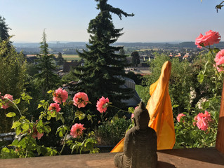 Yoga wieder jeden Mittwoch in Basel!