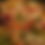 Thumbnail: Build Your Own Pizza