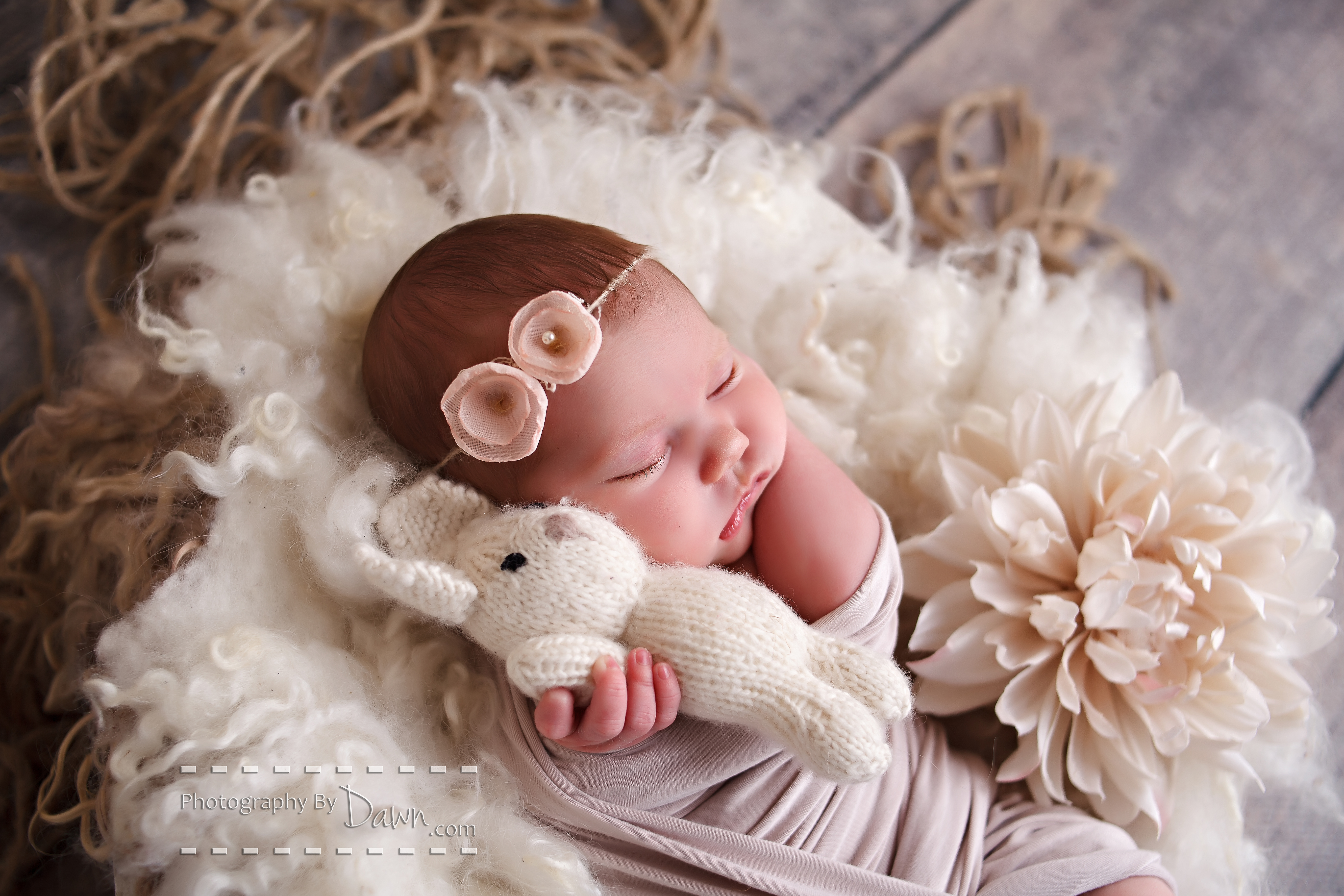 toronto baby photography