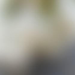 Love Language Gift Giving ideas