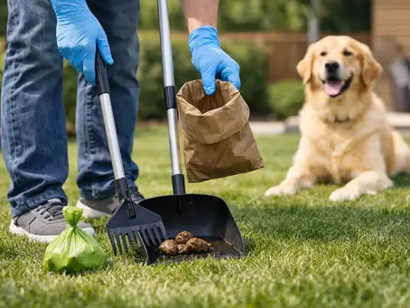 How to Make Dog Cleanup Less Gross