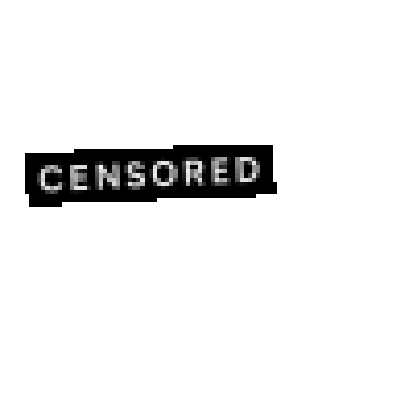 4599e2_1b1bb3b9ab1c436692818c3d943c3e8e_mv2.gif
