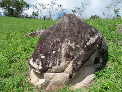 Petroglifos San Pedro