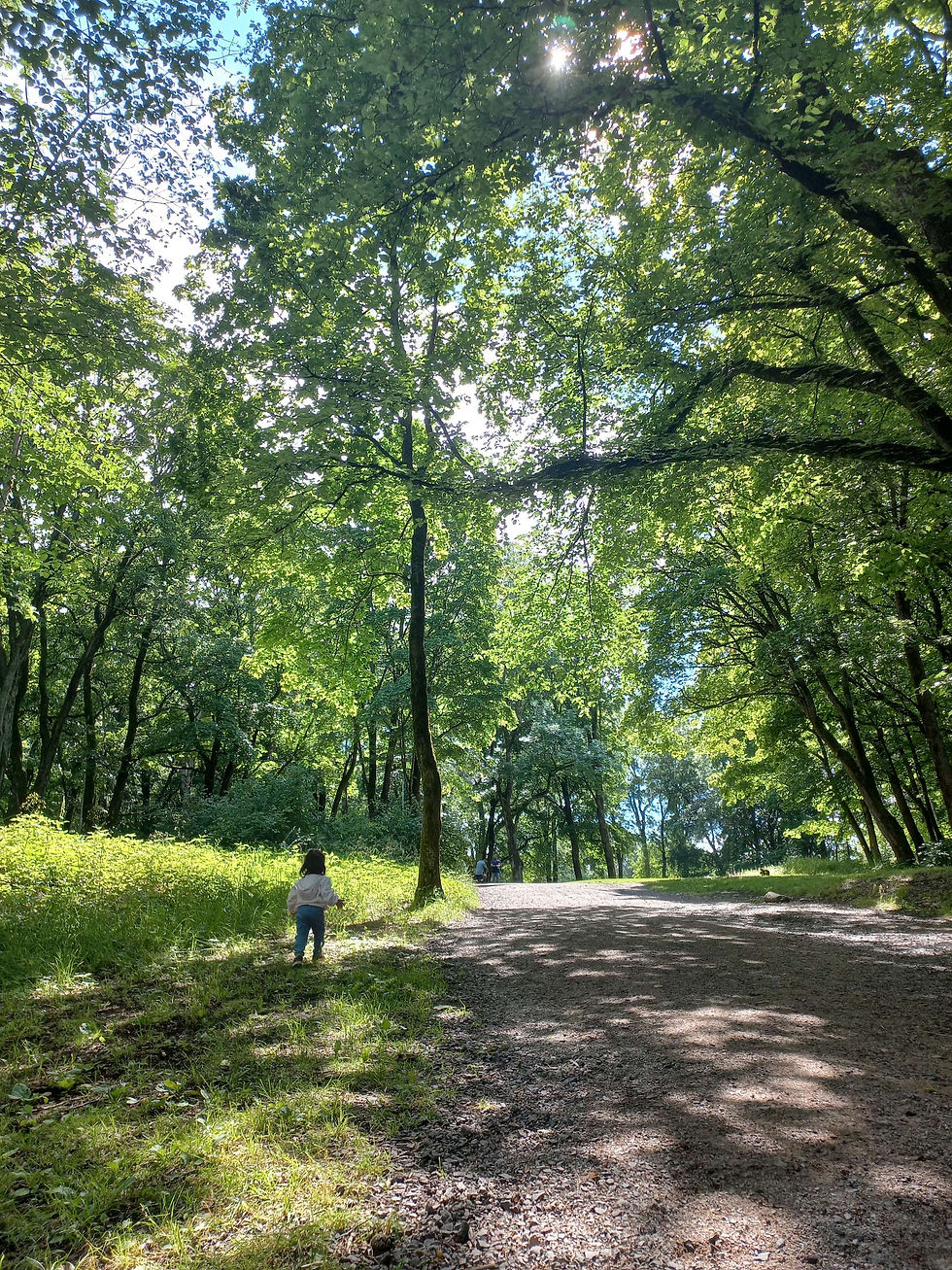 hayata notlar 2 ya da anıların yoklaması