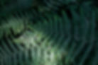 Angharad_Walker_Jul21_web-0362_edited.jpg