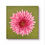Thumbnail: Blossom Collection - Texture art on canvas20x20cm