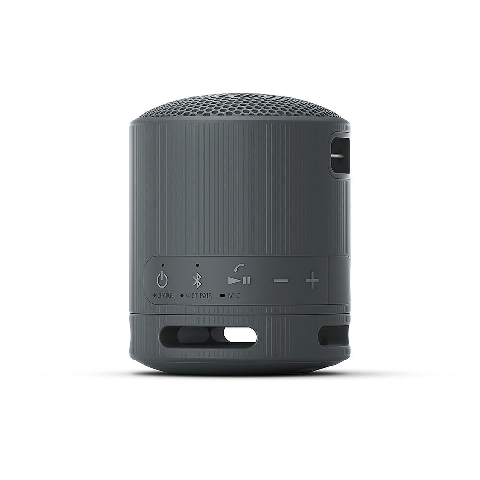 Thumbnail: Sony SRS-XB100 Portable Bluetooth Wireless Speaker
