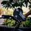Thumbnail: Raida Bicycle Handlebar Bag