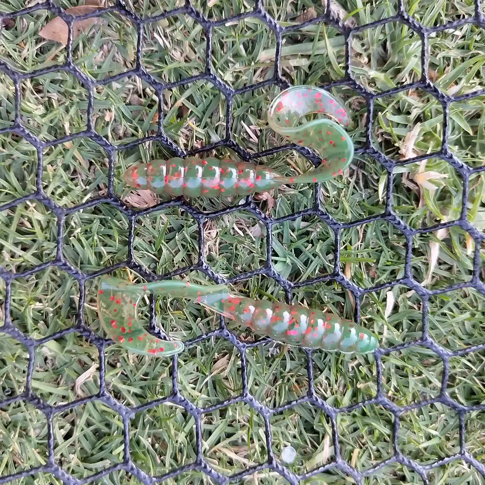 Super Swimmer Curly Grub 3.25"