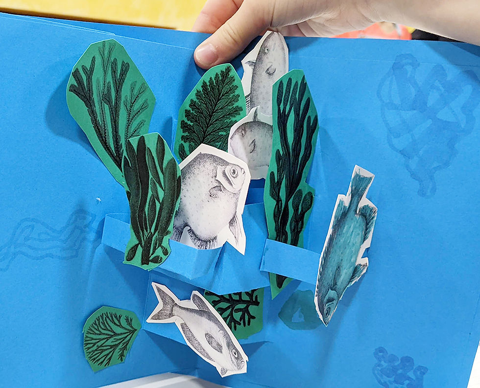 Pop Up Aquarium