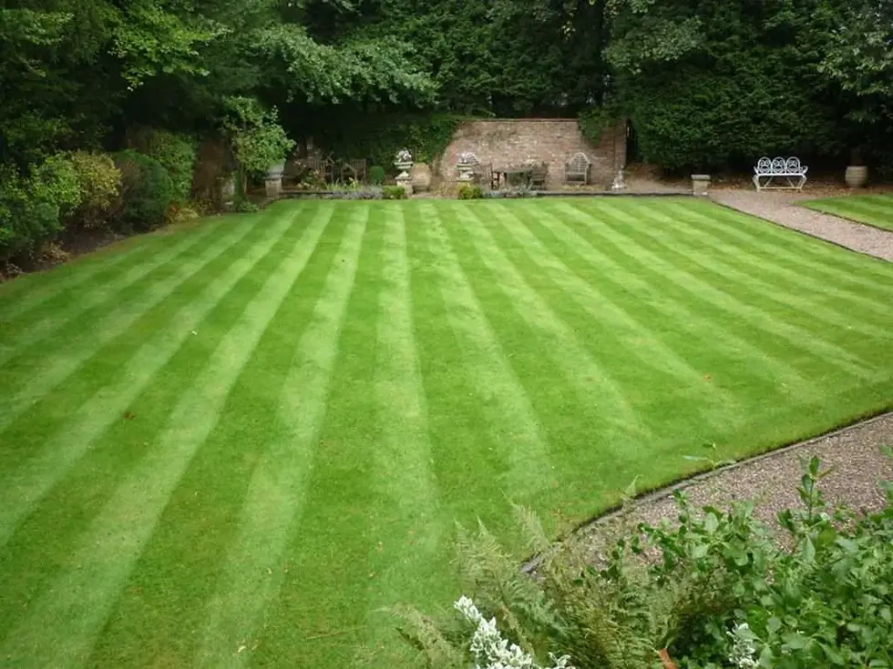 The Power of a Well-Maintained Lawn