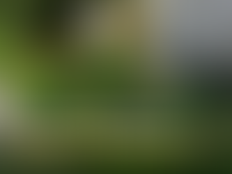 The Risks of Ignoring Property Maintenance