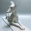 Thumbnail: Italian Greyhound On Bark