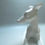 Thumbnail: Italian Greyhound On Bark