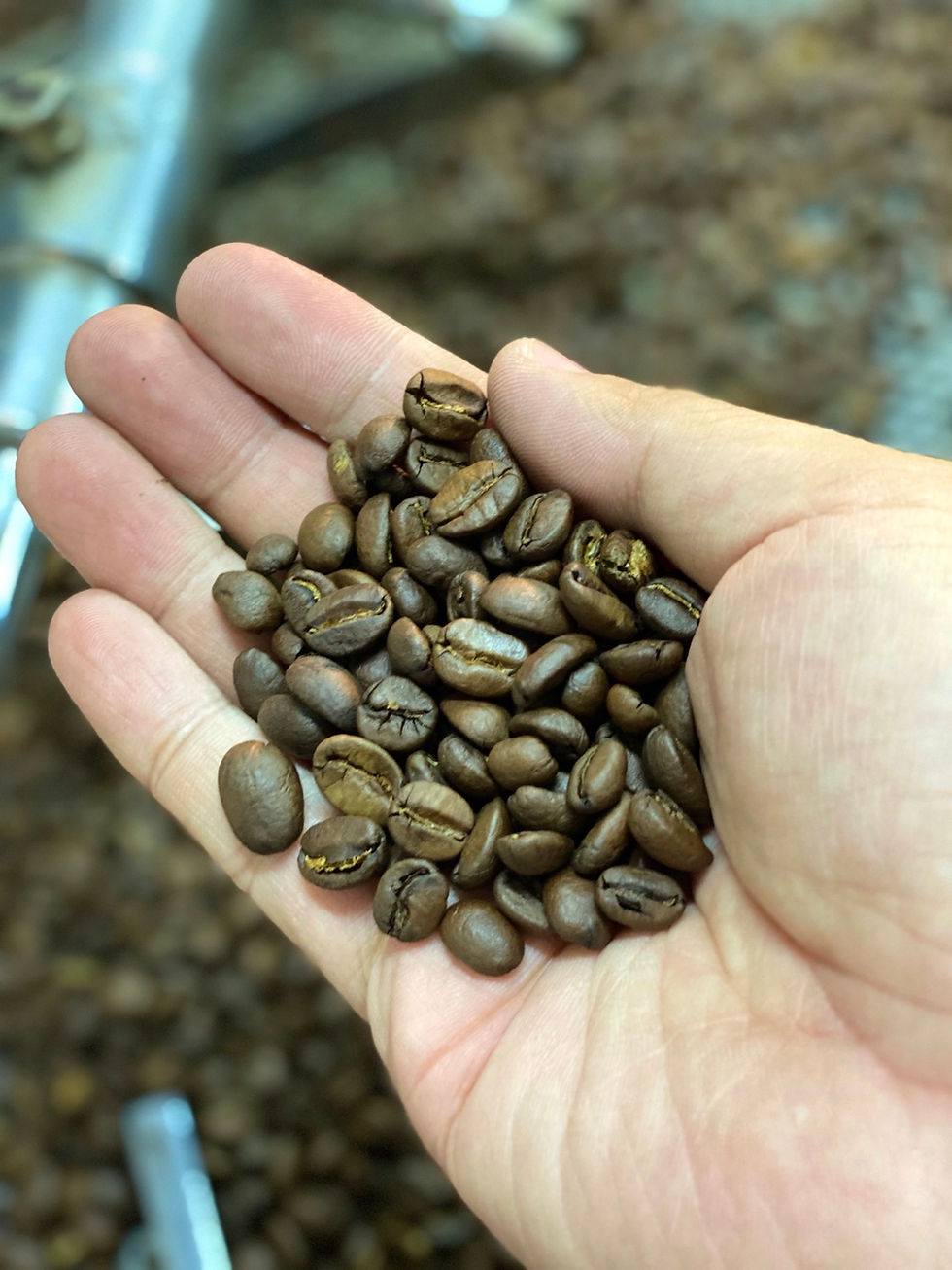 縮圖：INDONESIA SUMATRA GAYO MOUNTAIN MANDHELING G1 TRIPLE  PICKED