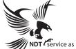 Logo NDTservice_stor.png