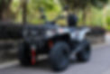 Loncin ATV XWolf 300