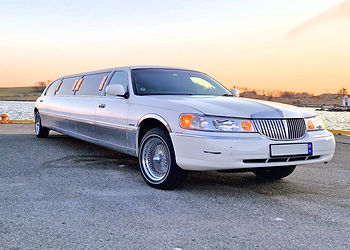 Lincoln limousin-2.jpg