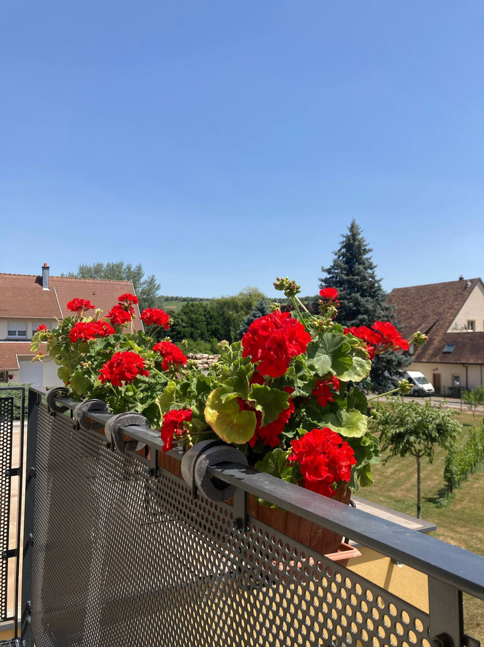 Capture d’écran 2022-10-08 à 10.18.02.png