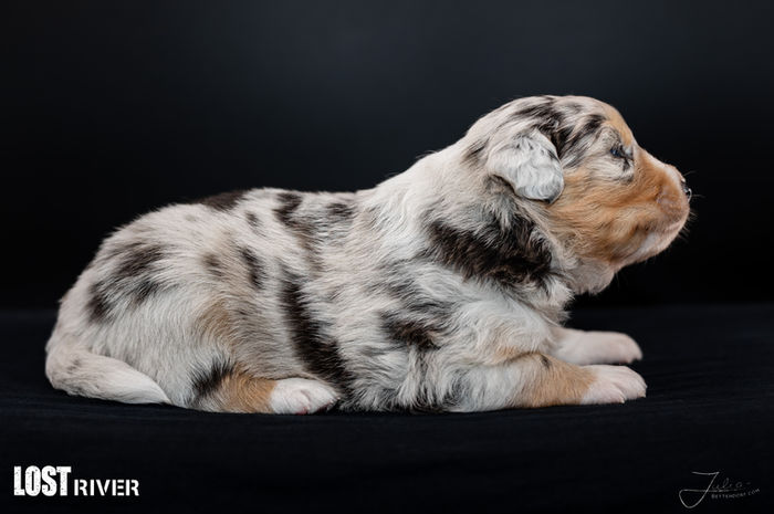 Lost River Experiment 626