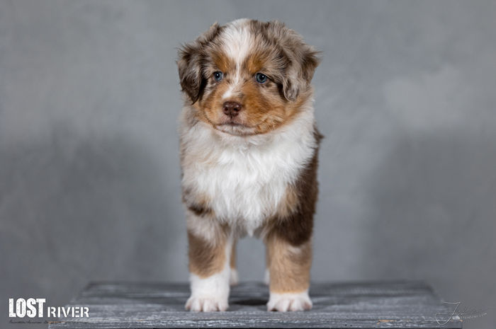 Lost River Evening I Will Not Forget