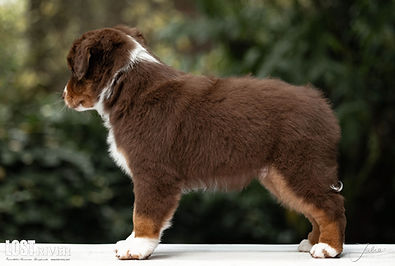 Lost River Face Everything 'N Rise