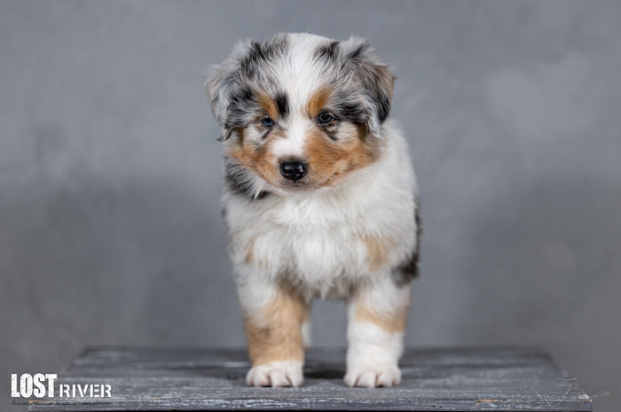 Lost River Experiment 626