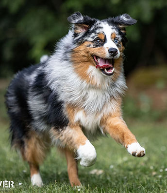 IMG_4543-Freestyle (fast 8 Monate)-min.jpg