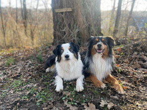 Matilda & Shadow
