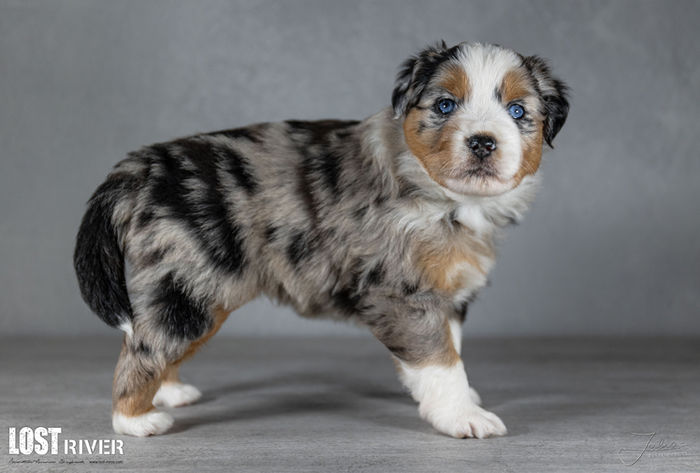 Lost River Final Fantasy