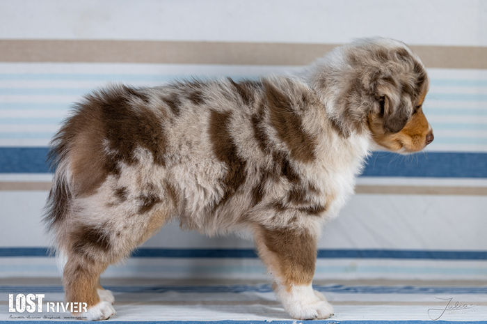 Lost River Evening I Will Not Forget