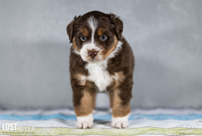 Lost River Face Everything 'N Rise