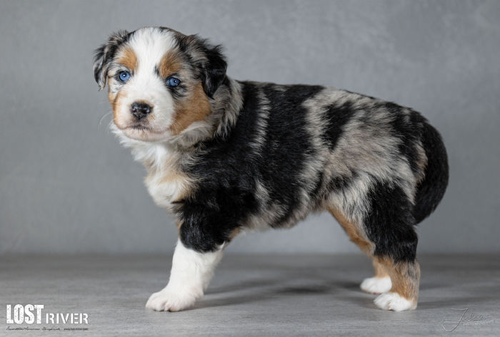 Lost River Final Fantasy