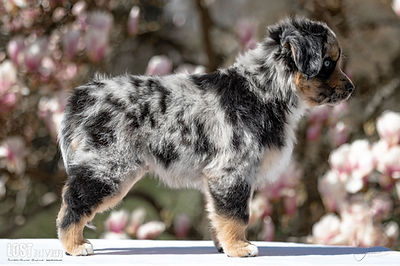 Lost River Hold'N Steady