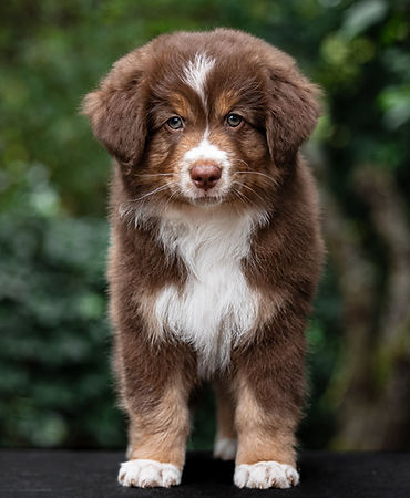 Lost River Everything Is Connected