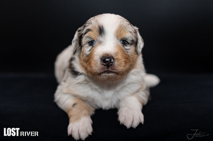 Lost River Experiment 626