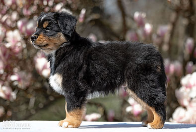 Lost River Hidden Treasure