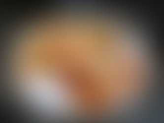 Vegansk schnitzel med moste poteter, rosenkål og kylling bretagne saus