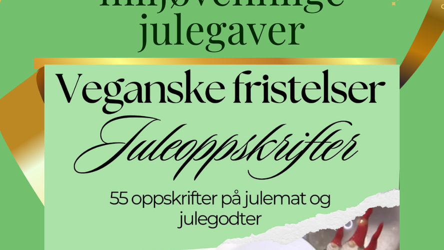 Fysisk julehefte