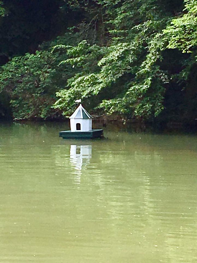 duck house