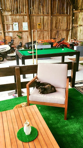 shady rest