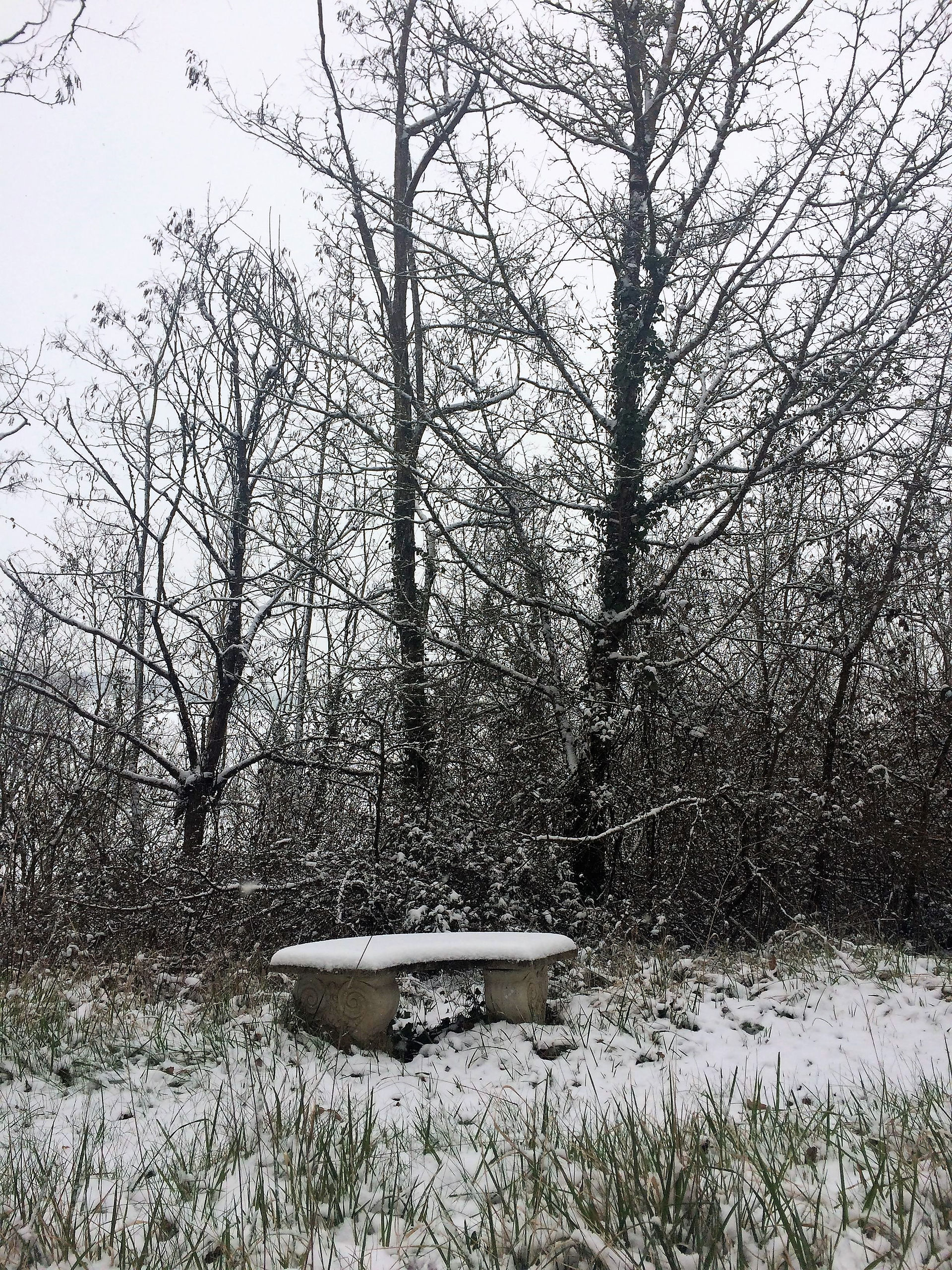 woodland seating