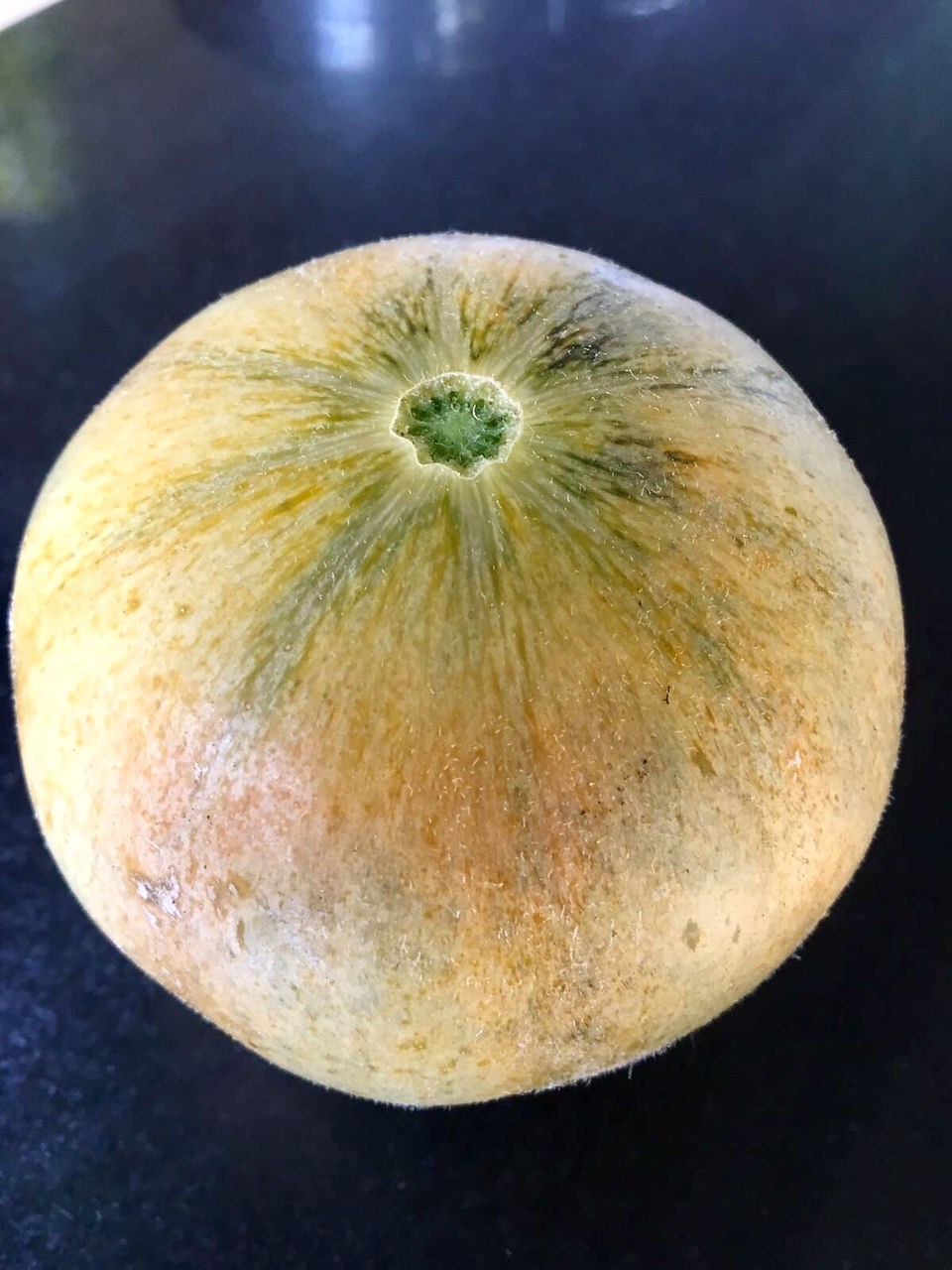 melons
