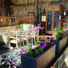 Shady Rest Coffee Lounge