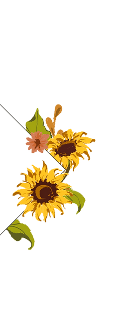 v415-fah-08-sunflower_edited_edited.png