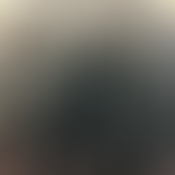 Quarantine Diaries: Hair Products I've Been Using on my Natural Hair