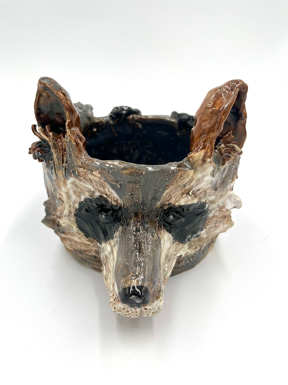 Thumbnail: Raccoon Planter