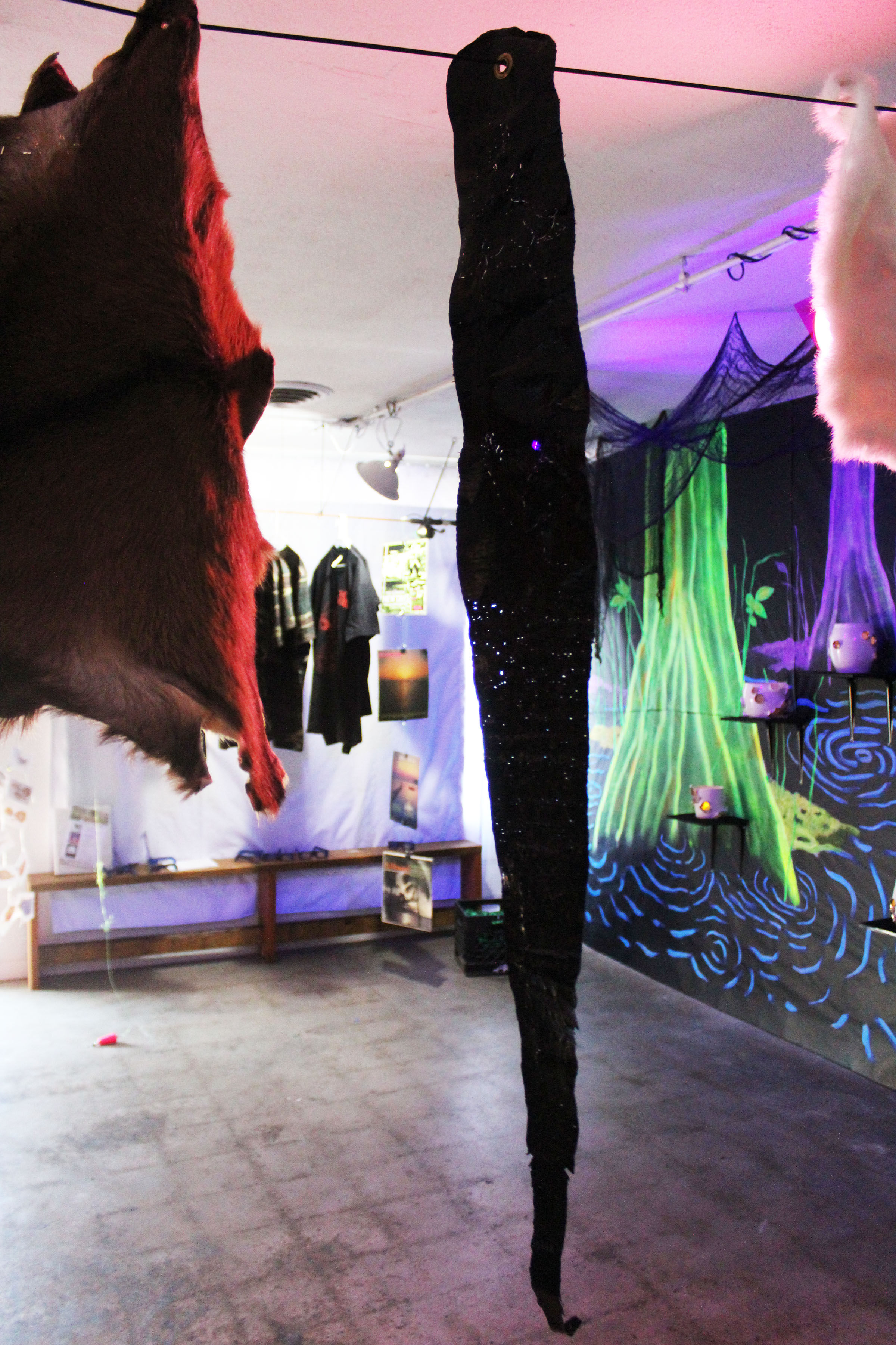 Heresy- CANTO SKIN series