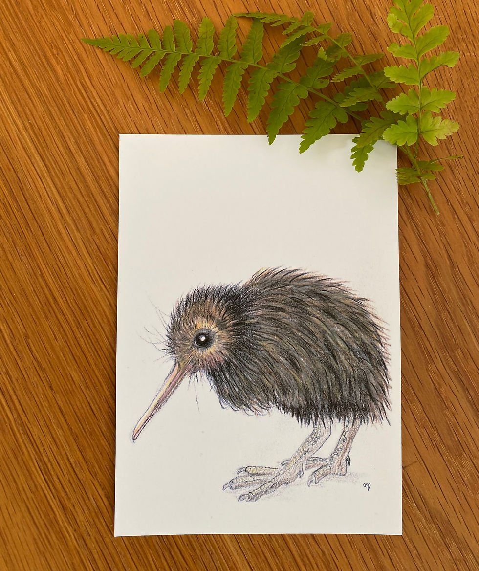 Kiwi